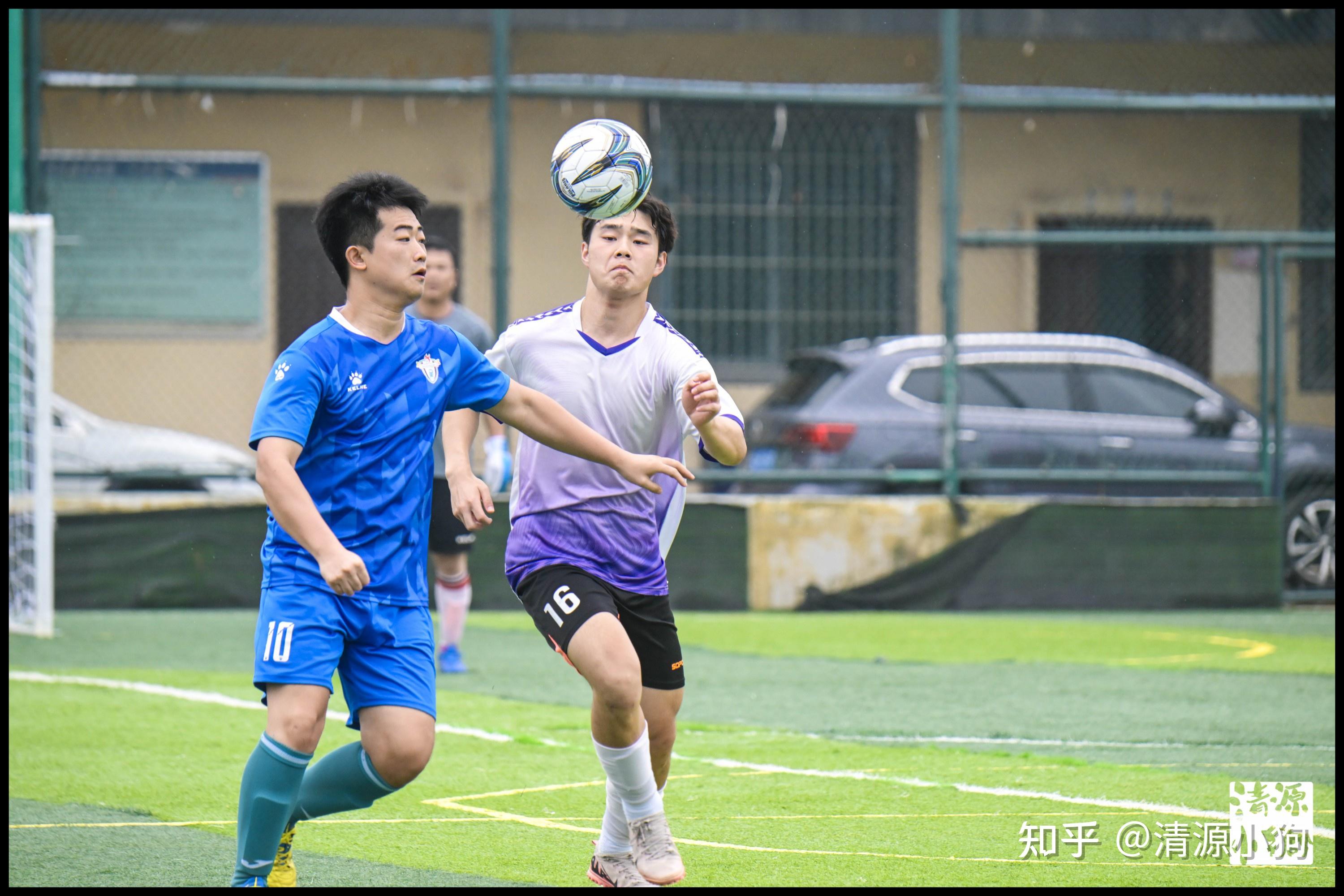 蓝黑军团的 蓝黑军团的