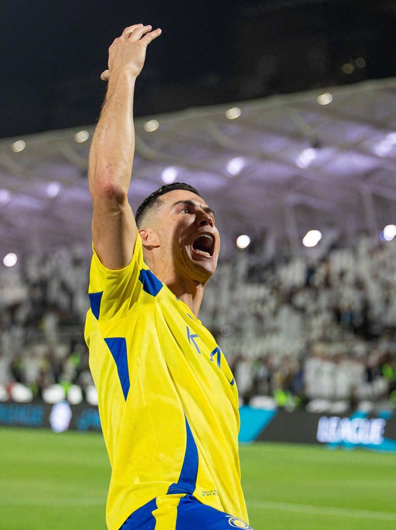 进行微调 进行微调