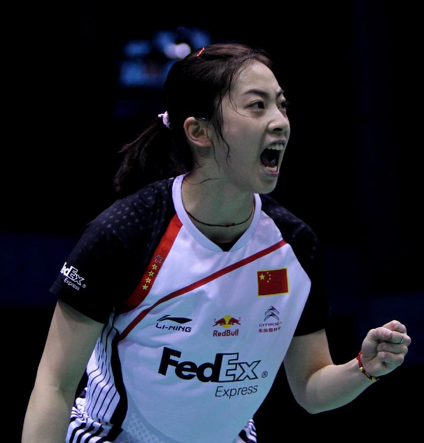 主导的环境 主导的环境