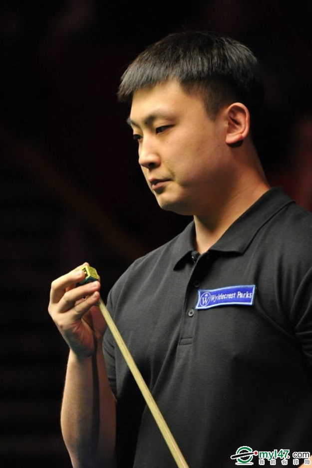 数量尚可 数量尚可